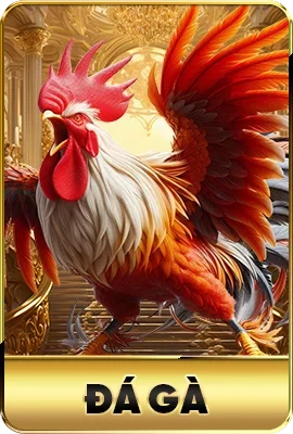 trang chủ 52 8kbet tro choi2